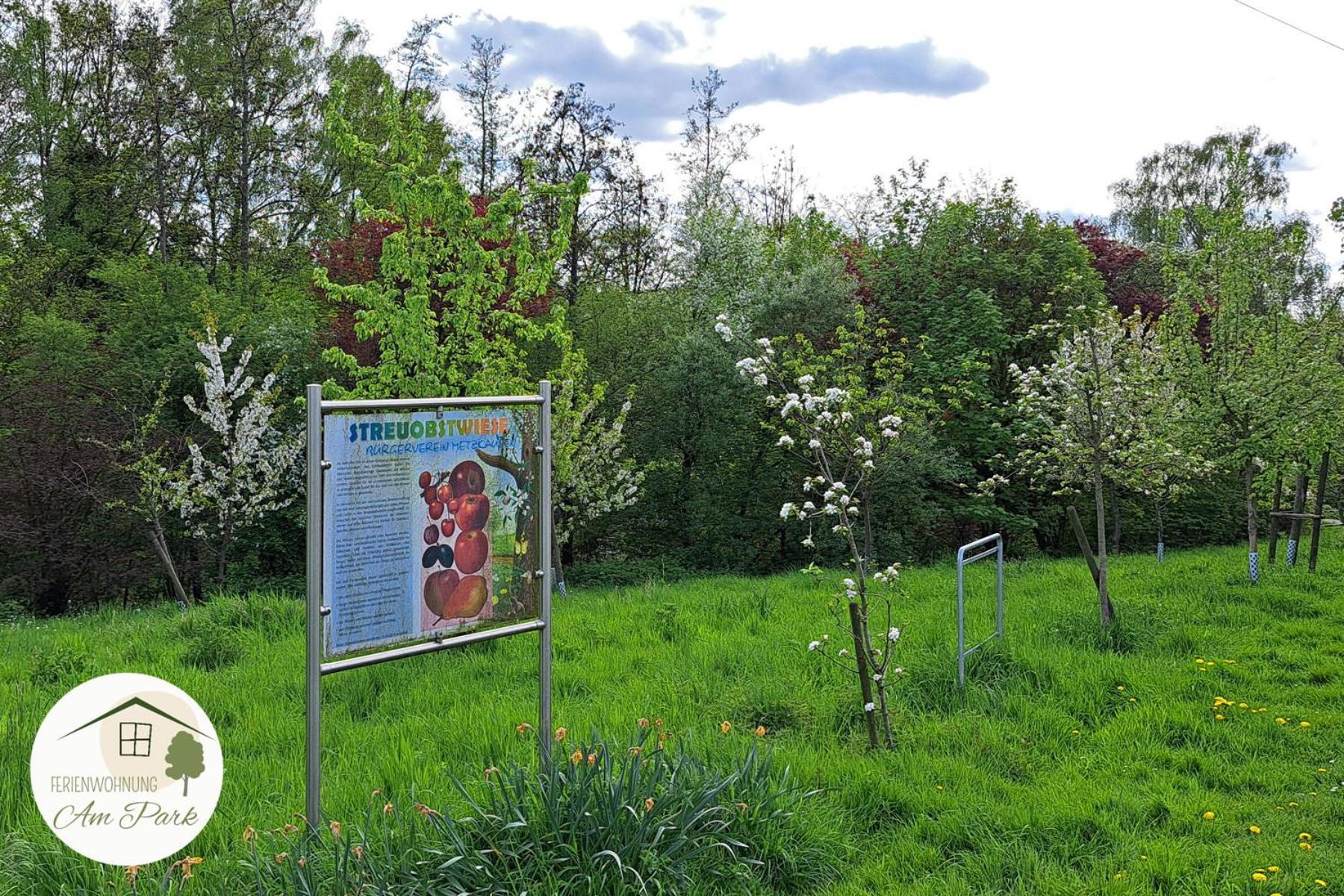 Grosszuegige Wohnung Am Comberg-Park Меттман Екстер'єр фото